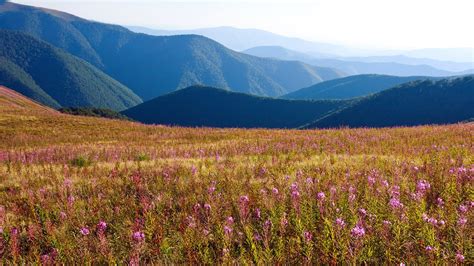 Natural wonders of Ukraine - Wonders of Ukraine