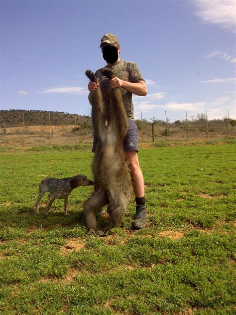 Baboon weight? | AfricaHunting.com