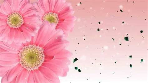 The Best 15 + Background Images Of Flowers - Background Images