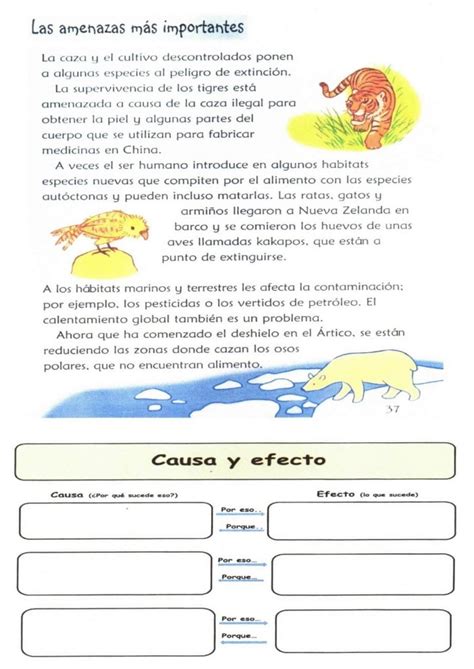 El caso de los textos informativos en la escuela - Comprension-lectora.org