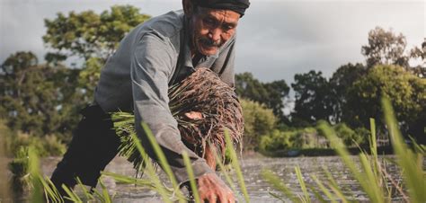 Early history of agrarian reform program in the philippines - kitssno