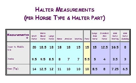 Sizing your horse's halter | Tack