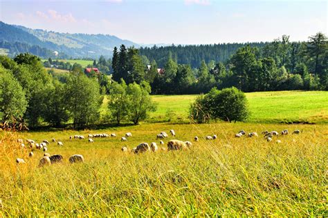 Countryside, Poland