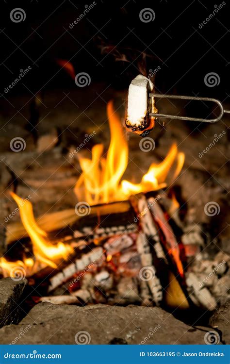 Cooking Marshmallows on the Camp Fire. Stock Image - Image of hygge, dining: 103663195