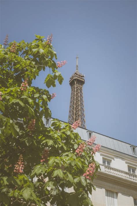 Top of the Eiffel Tower · Free Stock Photo