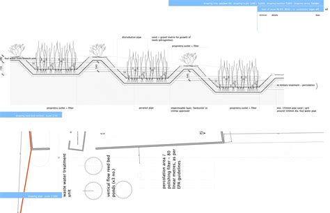 reed bed design details