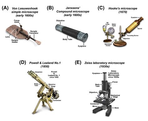 Different types of Microscopes – light microscope, electron microscope, scanning probe ...