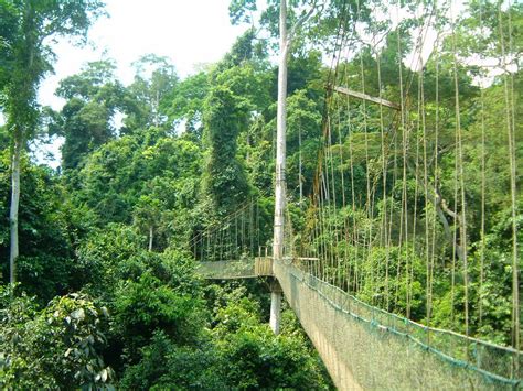 Kakum Canopy Walk, Ghana | Kakum National Park is a 375 squa… | Flickr