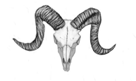 Ram skull by OniMusha666 on DeviantArt