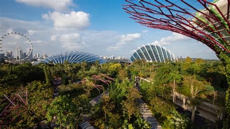 Gardens by the Bay, Supertrees - Greenroofs.com