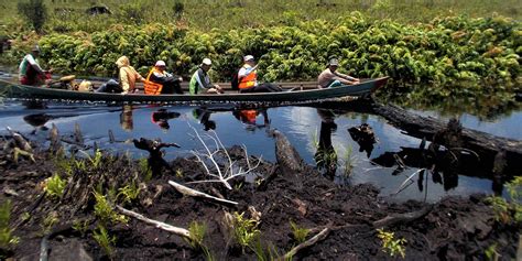 Promoting Peatland Management in Indonesia