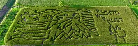 Corn Maze Gallery