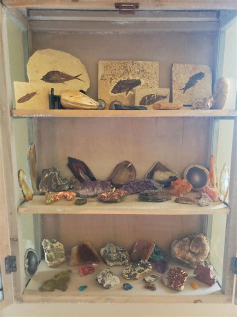 My wife bought me a display case for my rock, mineral, and fossil collection. It didn't all fit ...