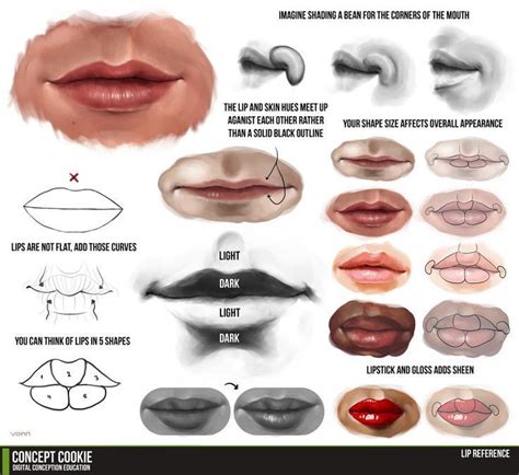 drawing Illustration art lips tutorials human anatomy art reference how to draw Drawing ...