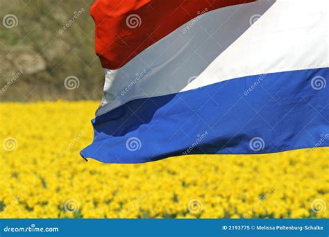 Dutch Flag Royalty-Free Stock Photography | CartoonDealer.com #741383