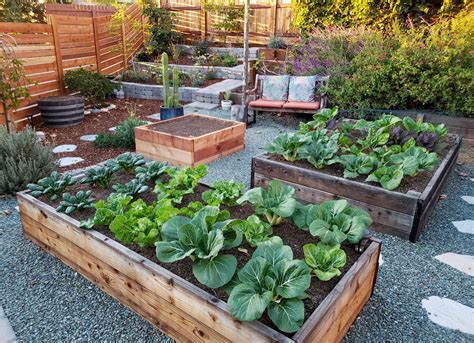 Choosing the Best Materials for Raised Garden Beds ~ Homestead and Chill