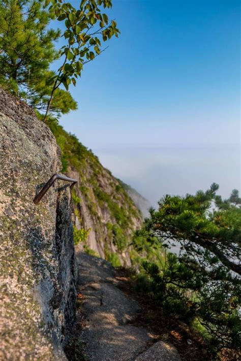 Hiking The Precipice Trail: The Photos & Tips You Need to Know