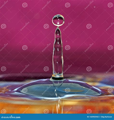 Macro shot of water drops. stock photo. Image of drop - 142992942