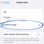 Data eSIM iPhone settings (with examples) | aloSIM