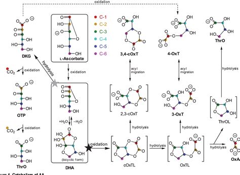 Figure 1 from The oxidation of dehydroascorbic acid and 2,3 ...