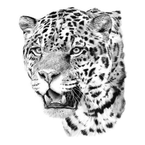 Realistic Jaguar Head Tattoo Design