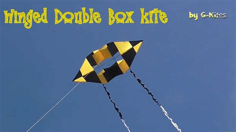 Winged Box Kite