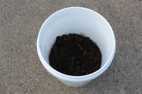 How To Make And Use Compost Tea - The Perfect All-Natural Fertilizer! | Compost tea, Organic ...