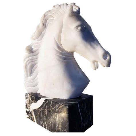 Neoclassical Marble Horse Head For Sale at 1stDibs