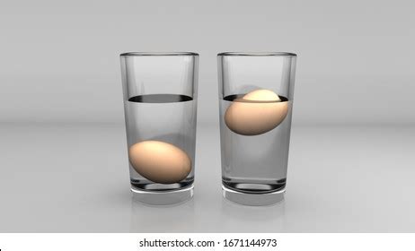 517 Egg Water Experiment Images, Stock Photos & Vectors | Shutterstock