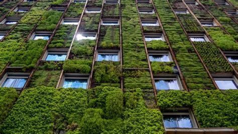 Sustainable Buildings - Lessons - Blendspace