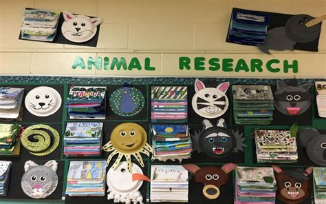 Animal Research