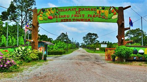 12 Place To Eat Durian In Johor Bahru | (Include Address And Info)