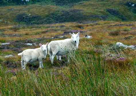 Have Pen and Camera, Will Travel: ICONIC IMAGES OF SCOTLAND (Part One)