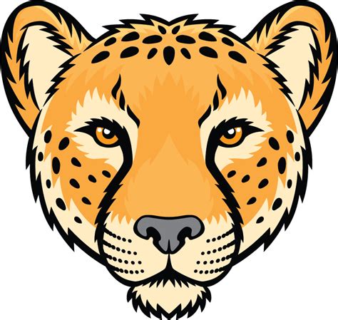 Cheetah clipart head, Cheetah head Transparent FREE for download on WebStockReview 2024