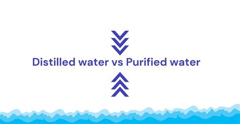 Distilled vs Purified Water: Pro ,Cons and Comparison