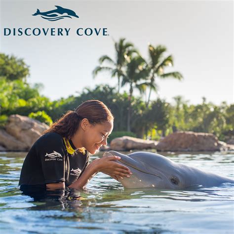 Discovery Cove Orlando Tickets, Packages From £183.31