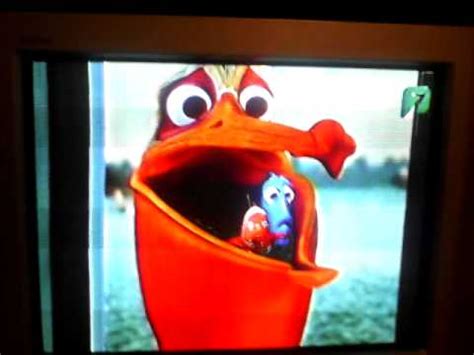 Finding Nemo Pelicano Atacar Al Darla - YouTube