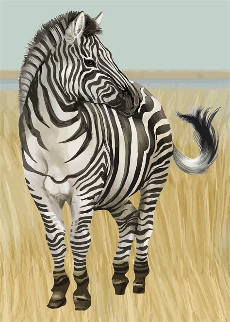 Hand drawn zebra - Download Free Vectors, Clipart Graphics & Vector Art