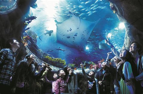 The Grand Aquarium at Hong Kong's Ocean Park Blooloop