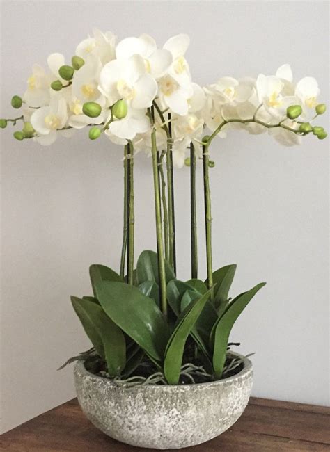 Luxury Large Artificial Orchid Arrangement In Pot - White Flowers – Artificial Green