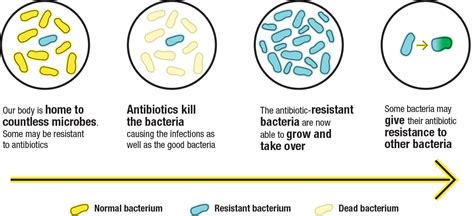 About antibiotic resistance: Preserving antibiotics now and in the ...