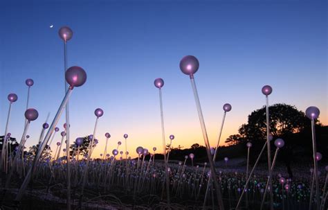 Field of Light, Manhattan, New York City, USA - Bruce Munro Studio