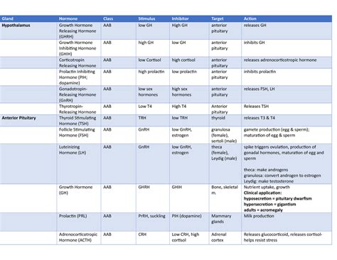 Pituitary Gland Hormones Chart