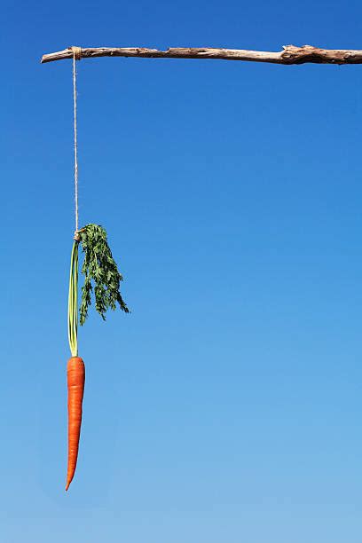 Carrot String Stock Photos, Pictures & Royalty-Free Images - iStock