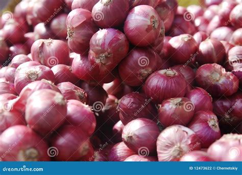 Shallot onion stock photo. Image of macro, vegetable - 12473622