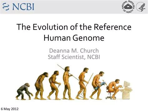 PPT - The Evolution of the Reference Human Genome PowerPoint Presentation - ID:1992885