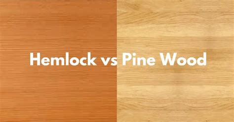 Hemlock Wood vs Pine | Identification, Uses, and Workability – Timber Blogger