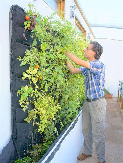 Indoor Vertical Vegetable Garden