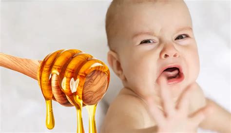 5 Effects of Honey on Your Health - lifeberrys.com