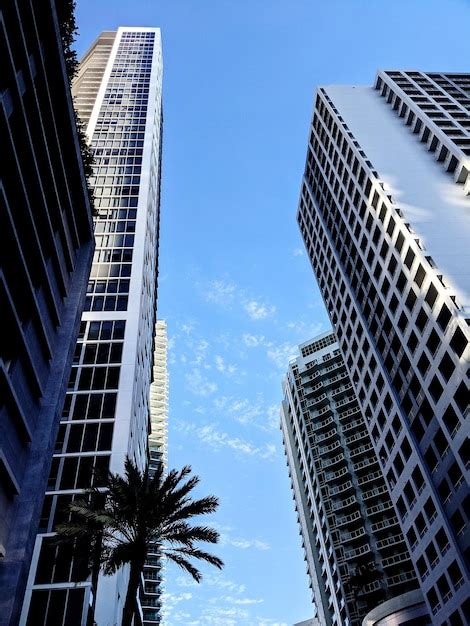 Premium Photo | High rise buildings in downtown miami